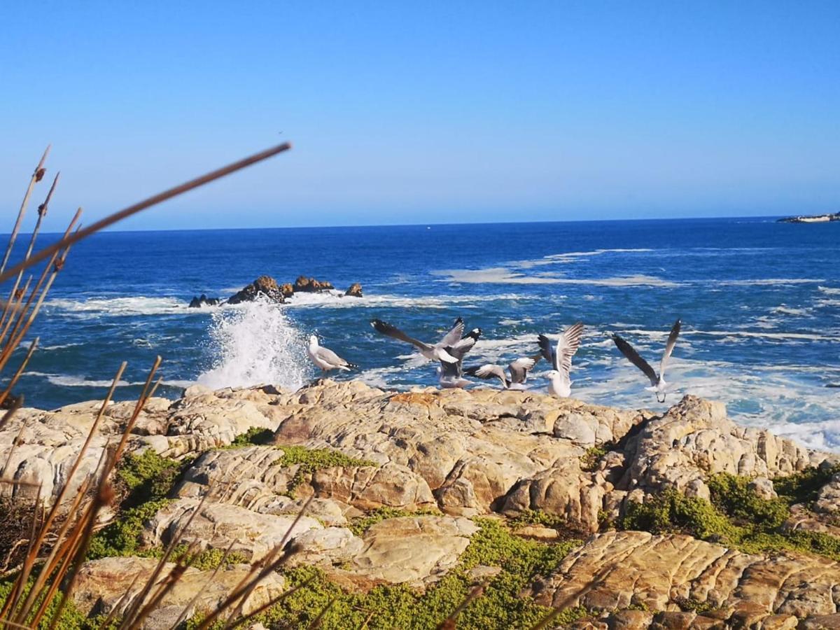 Troon Beach Cottage Hermanus Exterior photo